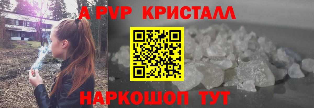 Альфа ПВП СК Асино