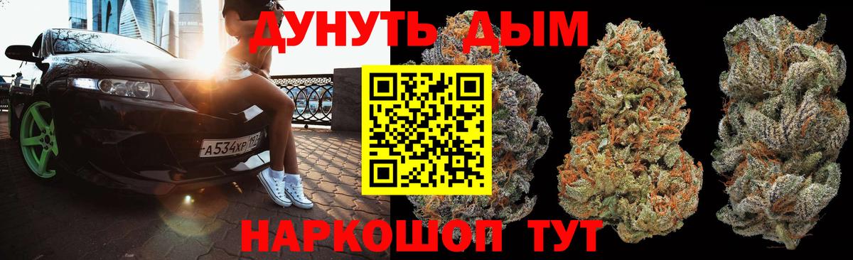 Каннабис SATIVA & INDICA Асино